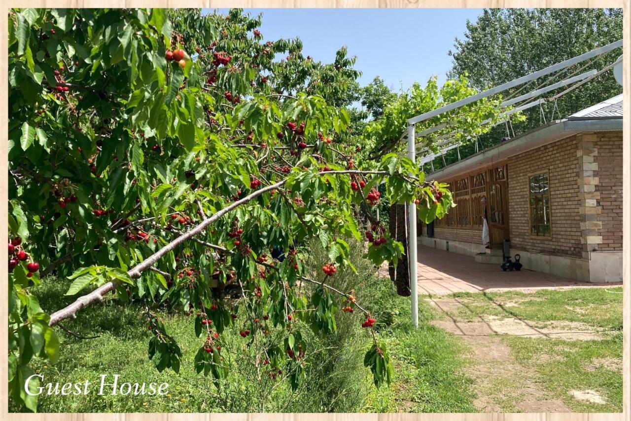 Spring Family Guest House Tersak Buitenkant foto