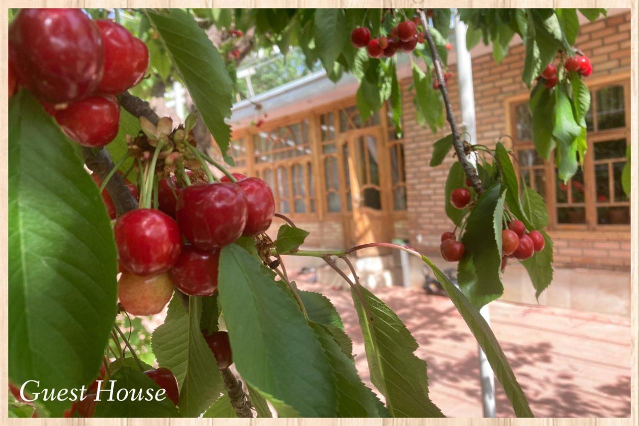 Spring Family Guest House Tersak Buitenkant foto